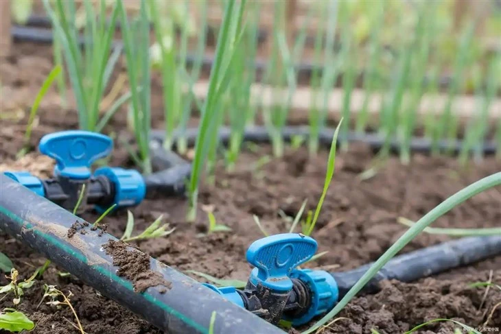 Greenhouse Drip Irrigation System suppliers